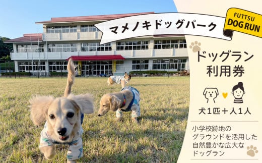 マメノキドッグパーク　ドッグラン 利用券（犬1匹＆人1人）