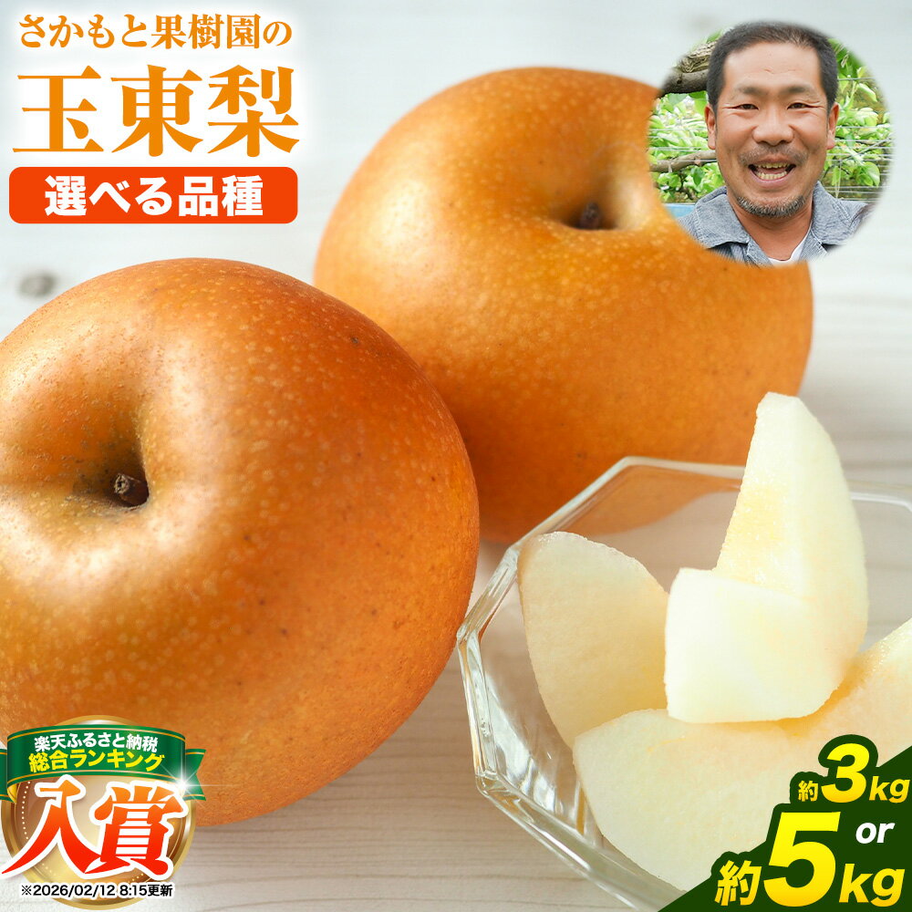 【ふるさと納税】【先行予約】梨 なし 旬の梨 さかもと果樹園の玉東梨 選べる 約3kg (3玉-10玉前後) 約5kg (6玉-18玉前後) 【日付指定・品種指定不可】 フルーツ ナシ 果物 《旬の梨：8月中旬-9月末頃出荷/ 秋麗：8月中旬-8月下旬頃出荷/ 甘太：9月中旬-9月下旬頃出荷》