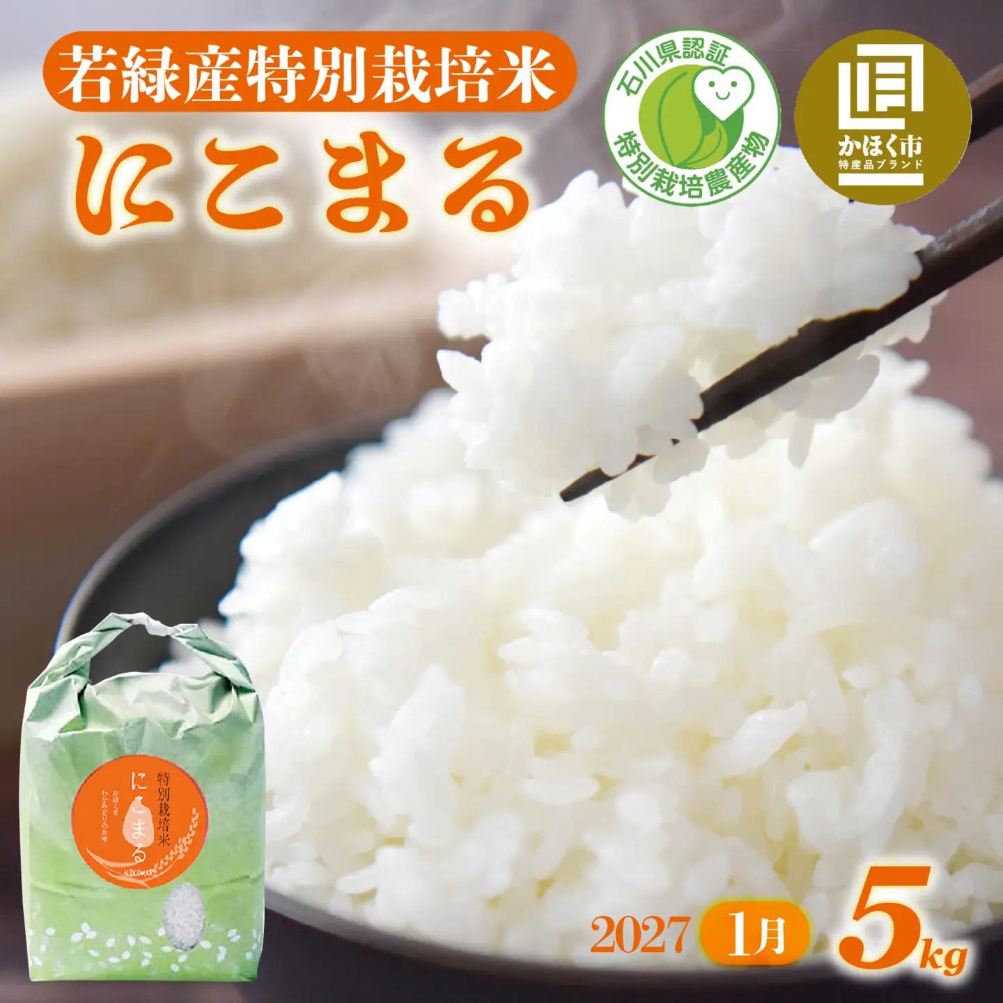【令和8年産】  にこまる 5kg 【2027年1月配送】 |  にこまる 白米