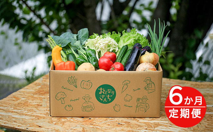 おとなりさんち厳選！浜松から鮮度抜群！旬の野菜BOX【定期便6か月分】【配送不可：沖縄・離島】