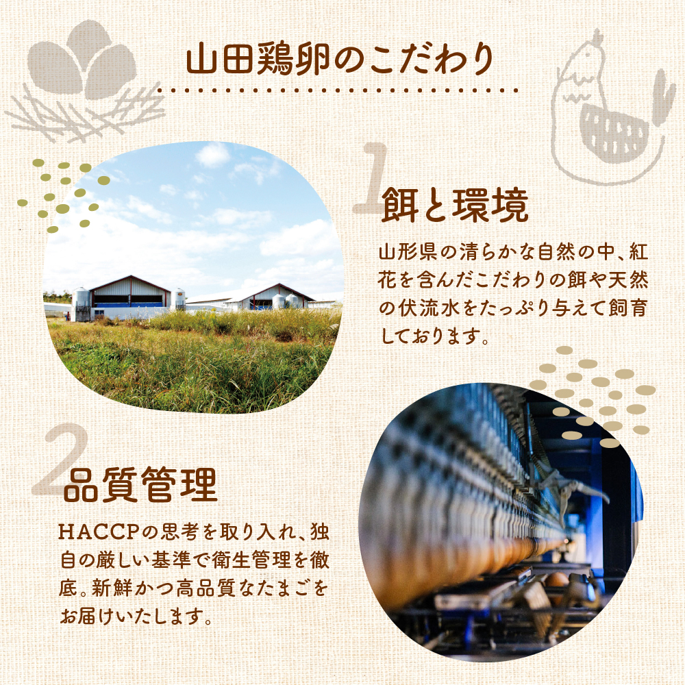 紅花たまご 60個セット 10個×6パック 卵 たまご 赤玉 鶏卵 黄身 白身 産みたて 卵かけ ご飯 親子丼 オムレツ 朝食 たんぱく質 新鮮 栄養 濃厚 甘み コク 山田鶏卵 送料無料 山形県 米