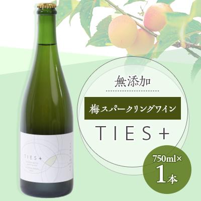 ふるさと納税 若狭町 福井県若狭町　Japanese apricot sparkling wine　750ml