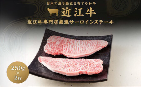 【12月発送】近江牛サーロイン ステーキ 250g×2枚
