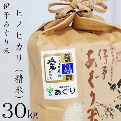 ★令和5年産発送★　伊予あぐり米「ヒノヒカリ」(精米30kg)