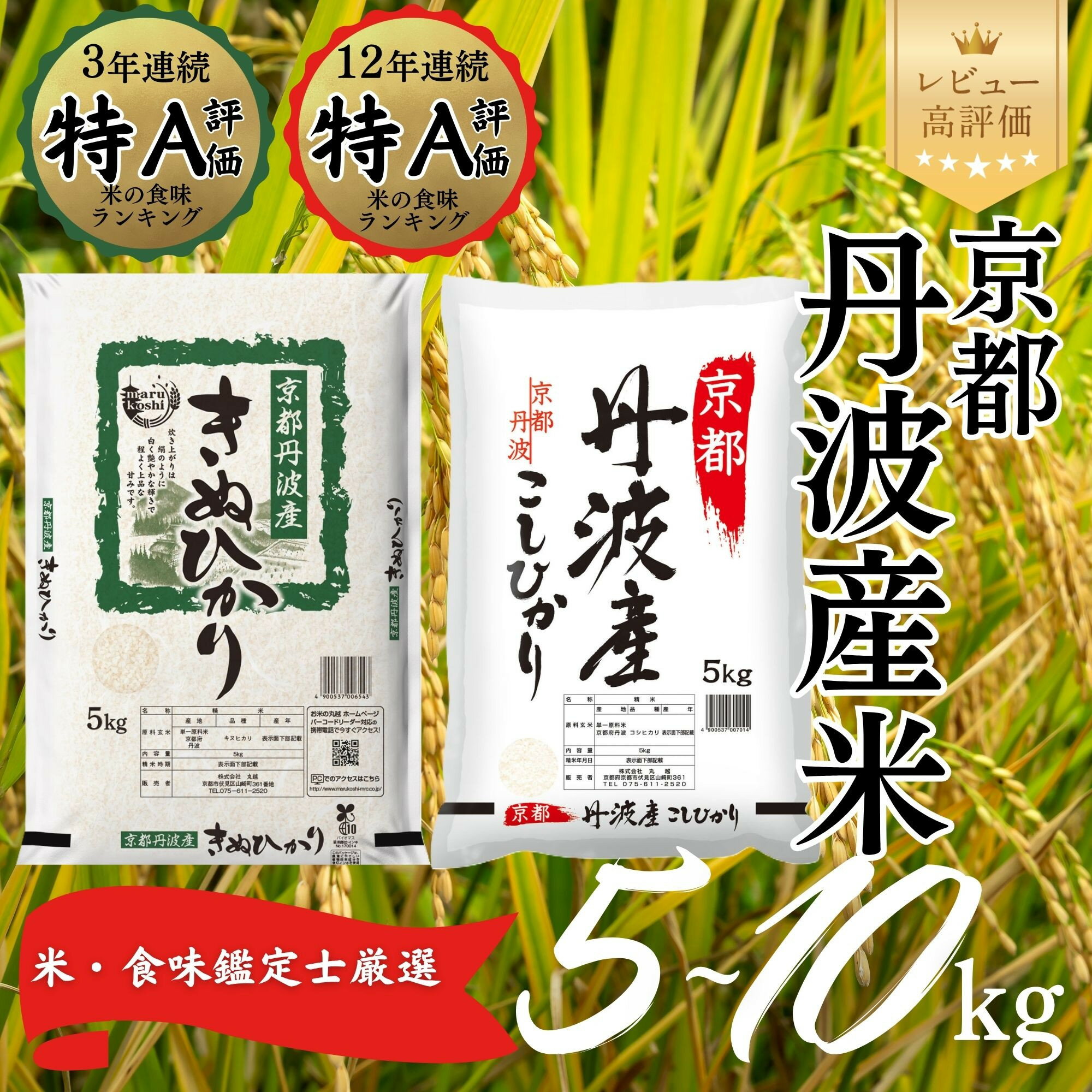 【ふるさと納税】＜令和7年産＞【丸越】京都丹波産 精米 選べる 5kg～10kg［ 京都 丹波産 こしひかり きぬひかり 精米 令和7年産 特A評価 おいしい 人気 おすすめ 米 コメ お取り寄せ 通販 送料無料 ふるさと納税 ］