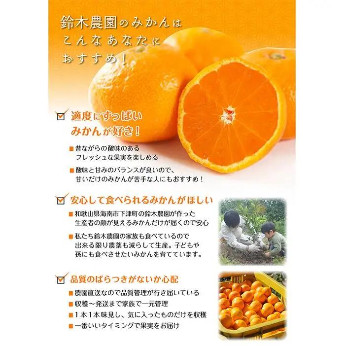 訳ありみかん 5kg 混合サイズ みかん 和歌山県海南市鈴木農園から直送
