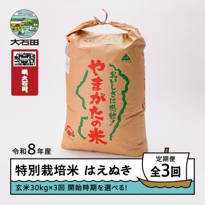 ふるさと納税 大石田町 【先行予約】 【3回定期便】 新米 米 はえぬき 30kg 玄米 令和8年産 12月・3月・6月発送