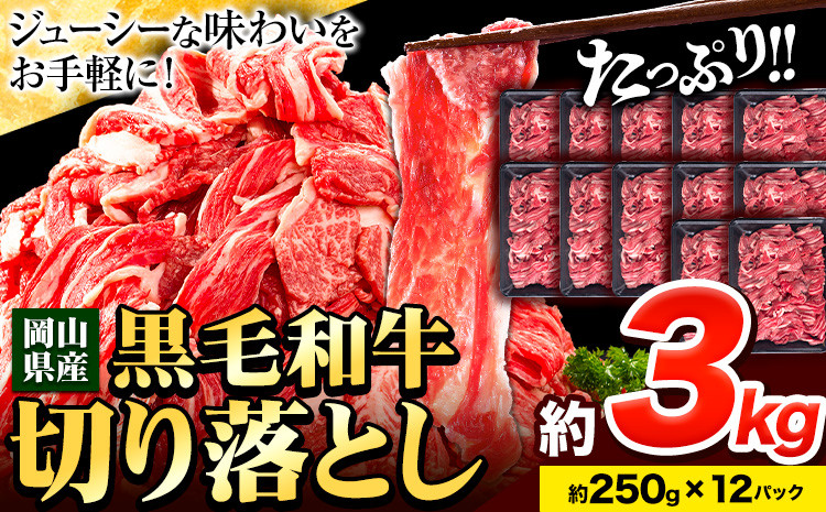 
牛肉 肉 黒毛和牛 切り落とし 訳あり 大容量 小分け 3kg 250g × 12《60日以内に出荷予定(土日祝除く)》岡山県産 岡山県 笠岡市 お肉 にく カレー 牛丼 切り落し 切落し
