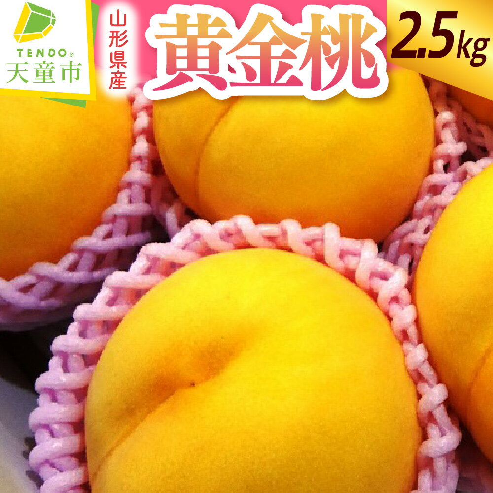 【ふるさと納税】 もも ( 金桃 ・ 黄金桃 ) 2.5kg 先行予約 令和8年産 2026年産 黄桃 桃 ピーチ peach 果物 くだもの フルーツ デザート 夏 旬 冷蔵 ご家庭用 のし 贈答 ギフト プレゼント お取り寄せグルメ 産地直送 送料無料 【 山形県 天童市 】