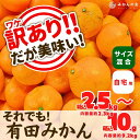 【ふるさと納税】訳あり それでも 有田みかん 箱込 2.5kg～10kg サイズミックス B品 有田みかん 和歌山県産 産地直送 家庭用【みかんの会】 | フルーツ 果物 くだもの 食品 人気 おすすめ 送料無料