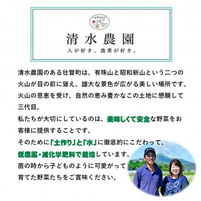 ふるさと納税 壮瞥町 【令和7年産】北海道壮瞥町産　清水農園のななつぼし 5kg SBTO015 |  | 03