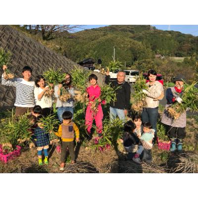 ふるさと納税 苅田町 生姜パウダー　25g×7袋 |  | 02