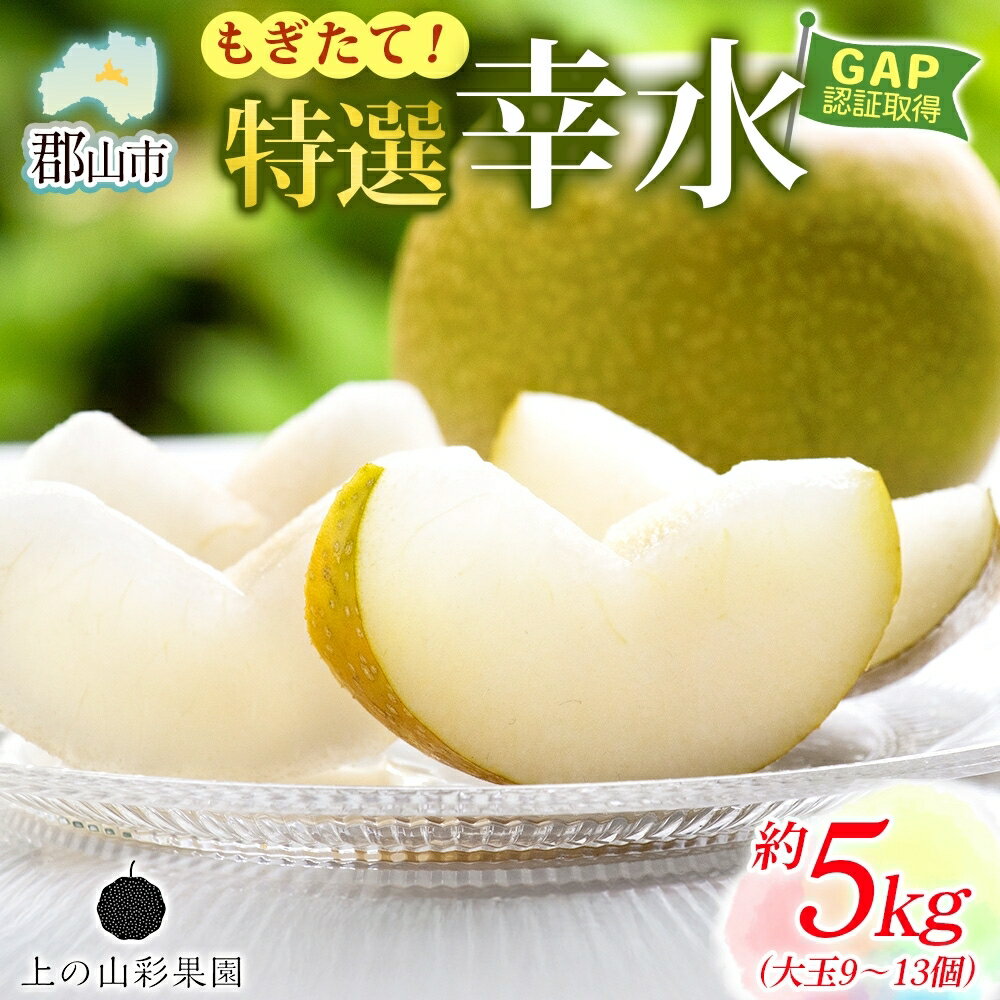 【ふるさと納税】特選 幸水 約5kg 大玉 9～13個 なし 梨 ナシ もぎたて 甘い 旬 果物 GAP 認証 産地直送 贈り物 贈答用 送料無料 上の山 彩果園 福島県 郡山市　お届け：2026年8月15日～9月1日