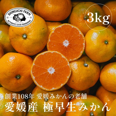 【ふるさと納税】創業百八年 愛媛みかんの老舗【極早生みかん3kg】愛媛県川上産【新口農園】【B70-66】【1615054】