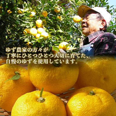 ふるさと納税 曽於市 子どもも喜ぶゆず彩りセット(飲料編)2 |  | 02