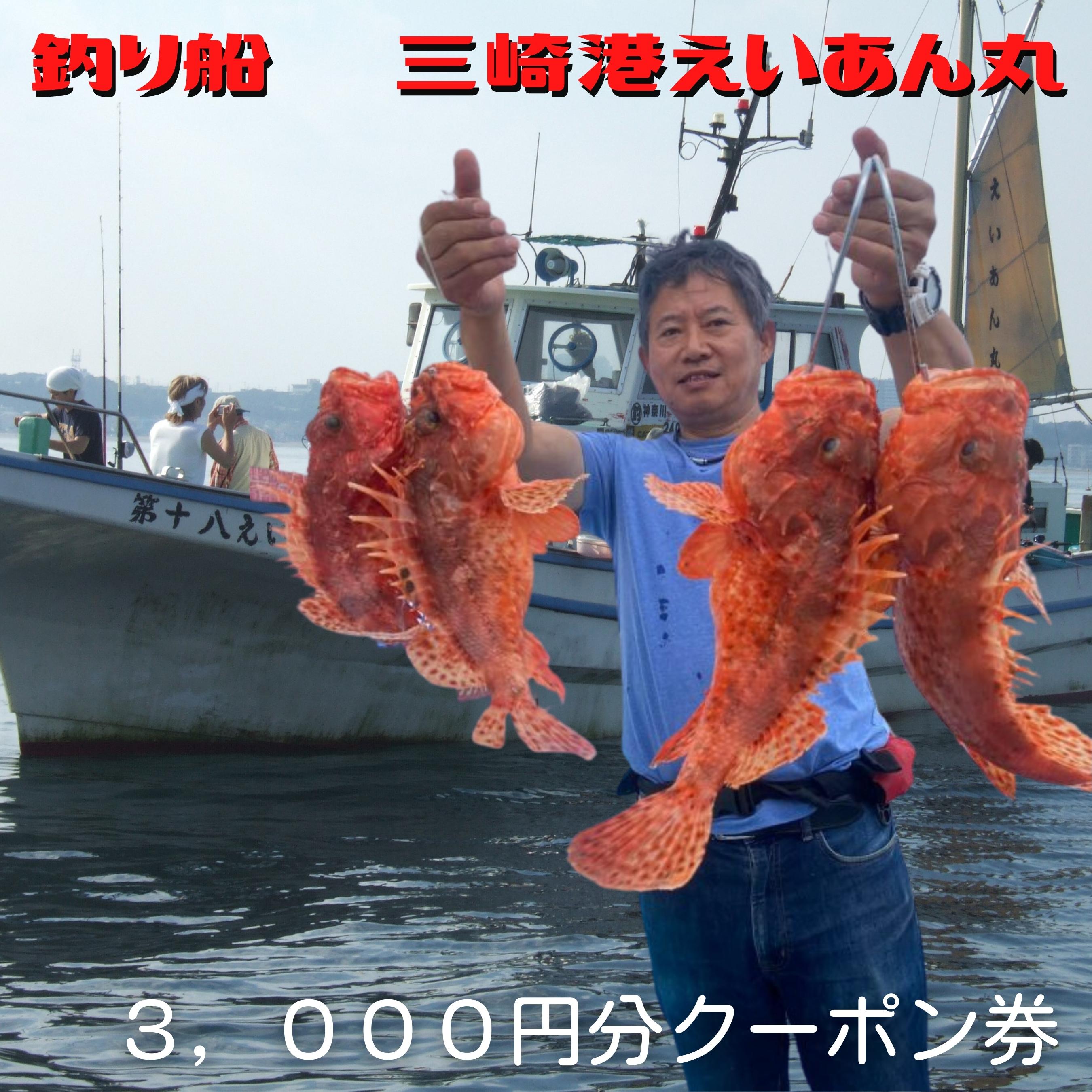 【ふるさと納税】【つり船】 三崎港 えいあん丸 3,000円分 クーポン券 釣り 乗船券 体験 チケット クーポン 利用券 船 レジャー フィッシング 乗合船 仕立船 三崎港えいあん丸 神奈川県 三浦市 おすすめ ランキング プレゼント ギフト