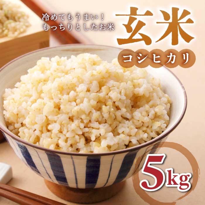 【ふるさと納税】【小田農園】冷めても美味しいコシヒカリ　玄米5kg　｜最短4〜7日程度でお届け　※着日指定不可