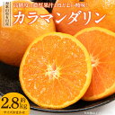 【ふるさと納税】【限定】 カラマンダリン 約2.8kg 和歌山県有田産 春みかん (果実サイズおまかせ) 春柑橘 紀伊国屋文左衛門本舗