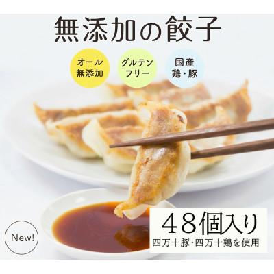 ふるさと納税 須崎市 葉にんにくと四万十豚で作った最高級餃子(6個入り×8パック)