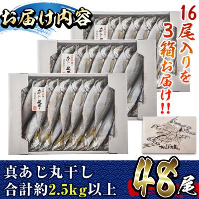 ふるさと納税 門川町 国産真あじ丸干し48尾セット(16尾×3箱・計2.5kg以上) |  | 03