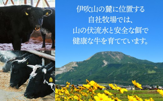 【3か月定期便】【飛騨牛】ロースまたは肩ロース 360g (すき焼き・しゃぶしゃぶ用)