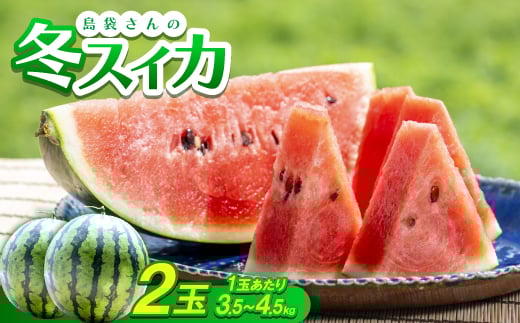 
            ＜2025年2月～3月頃の発送＞島袋さんの冬スイカ 2玉(1玉あたり3.5～4.5kg)【1577666】
          