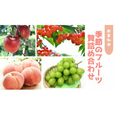 【ふるさと納税】信州中野 季節の果物おまかせセット【フルーツ詰め合わせ】【配送不可地域：離島】【1646790】