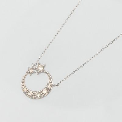 ふるさと納税 昭和町 PT900/PT850 0.10ct ダイヤモンド ペンダントネックレス HH-019742 |  | 01