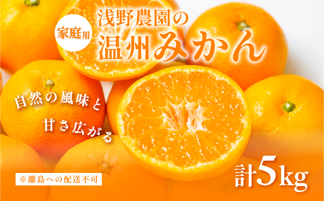 【先行予約】浅野農園の温州みかん 家庭用5kg ※離島への配送不可（2025年12月上旬～12月中旬頃に順次発送予定） IKTAC004
