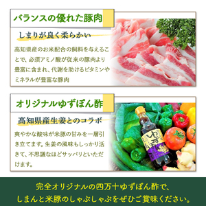 しまんと米豚の しゃぶしゃぶセット 計800ｇ（400g×２) 豚肉 豚しゃぶ 米豚肉