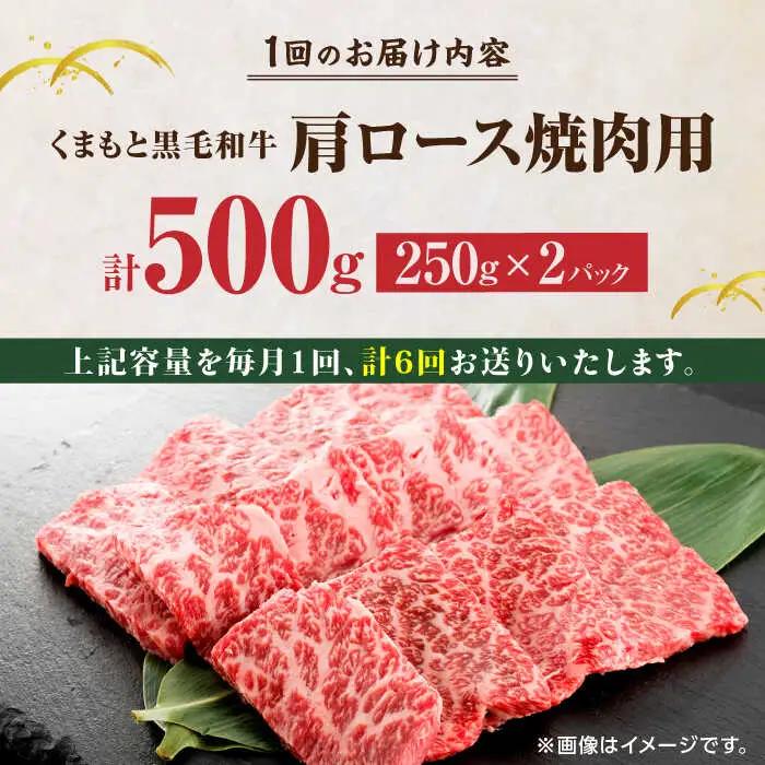 【6回定期便】くまもと黒毛和牛 焼肉用 肩ロース 500g（250g×2pc）【馬刺しの郷 民守】 熊本県産 九州産 和牛 お肉 肉 バラ 黒毛和牛  [ZBL092]