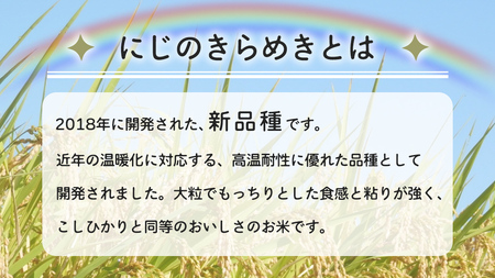 令和7年産 にじのきらめき 5kg ( 5kg × 1袋 ) [AX015sa]