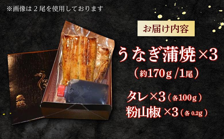 魚荘のうなぎ蒲焼き(3尾入り) / うなぎ ウナギ 鰻 蒲焼き 蒲焼 うなぎ蒲焼 国産 ひつまぶし うな重 うな丼 / 諫早市 / 有限会社魚荘 [AHCK003]
