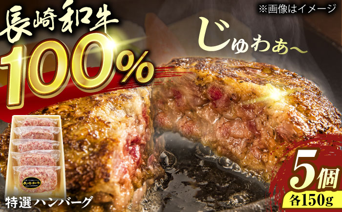 
            長崎和牛特選ハンバーグ150g×5 [QAA036]
          
