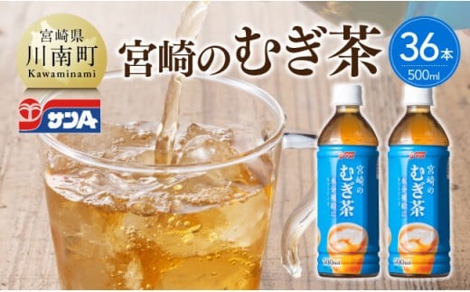 サンA 宮崎のむぎ茶 500ml PET 18本入り×2ケース 【 お茶 麦茶 宮崎県産 ペットボトル  宮崎県農協果汁】