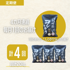コシヒカリ 定期便4回 5kg 米 お米 コシヒカリ