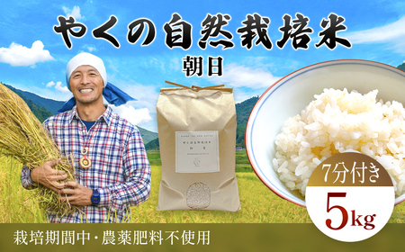 令和8年産先行予約 やくの自然栽培米 朝日 7分づき 5kg ゆたか（ゆたか自然農園）