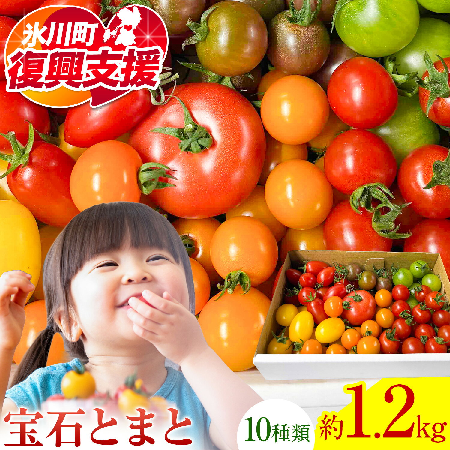 【ふるさと納税】【R8熊本地震復興支援】【先行予約】「ミヤザキファーム」 宝石とまと1.2kg 6月 6月発送 熊本県氷川町産《12月上旬-6月末頃出荷》 ミニトマト トマト 小鈴 アイコ イエローアイコ オレンジ千果 みどりちゃん セレブスイート
