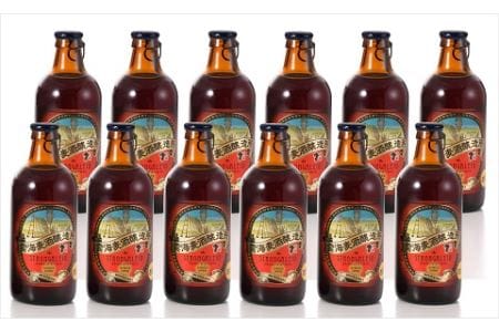 雲海麦酒醸造所 地ビール「ストロングエール10」12本セット　フルーティ　風味　ホップ　程よい苦味　濃厚【雲海酒造】_A0114-069
