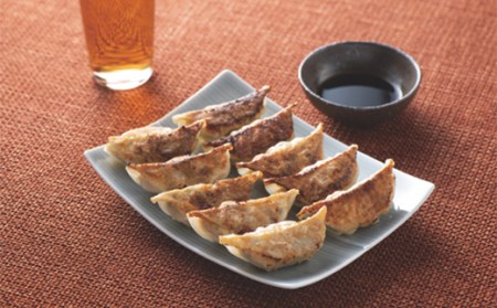 【ふるさとの極み】野菜が入った ひろしの餃子 2種各352g×2 F2Y-5256