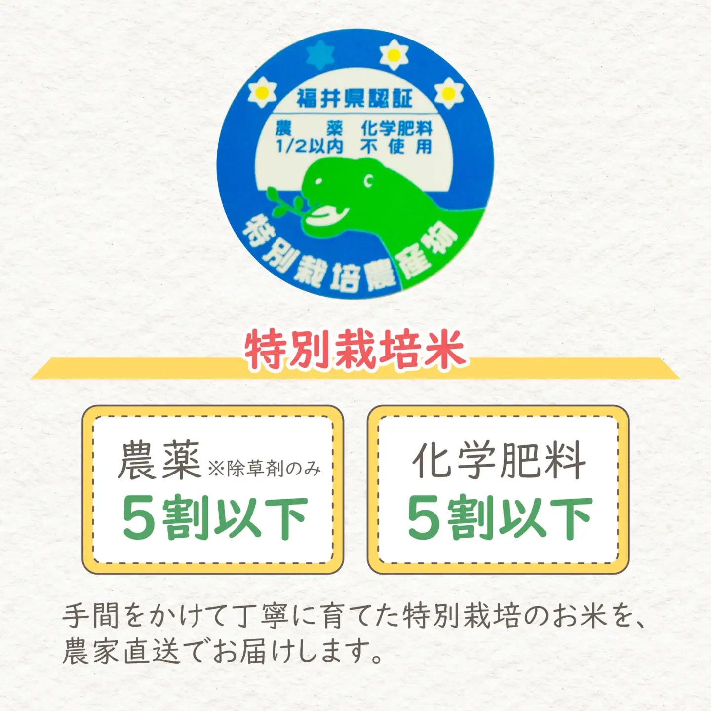 【先行予約】【令和8年産 新米】【12ヶ月定期便】ミルキークイーン 白米 4.5kg × 12回 ｜ピロール農法