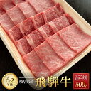 【ふるさと納税】飛騨牛A5 焼肉用 500g ロース 又は 肩ロース 肉 ｜国産 肉 牛肉 焼肉 和牛 黒毛和牛 グルメ A5等級 おすすめ AD115【飛騨牛 和牛ブランド 飛騨牛 黒毛和牛 飛騨牛 岐阜 大野町 飛騨牛】