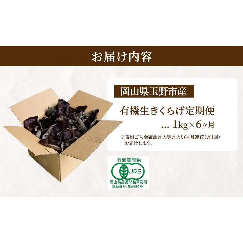 【 産地直送 】 有機JAS 生きくらげ 定期便 1kg×6ヶ月 オーガニック きくらげ きのこ 野菜 岡山県 玉野市 栽培期間中化学肥料不使用 栽培期間中農薬不使用 野菜セット 