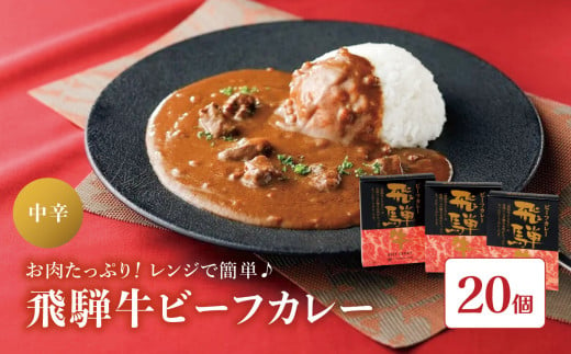 飛騨牛 ビーフカレー セット  ( 220g × 20個 )  | 飛騨牛 カレー ルー レトルト 食品 お取り寄せ グルメ カレーライス 長野県 松本市 ふるさと納税