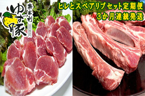 【ふるさと納税】　奈半利ゆず豚定期便2（ヒレとスペアリブセット各600g）3か月連続発送　定期便 3回　豚肉　スペアリブ　ヒレ 　ゆず豚