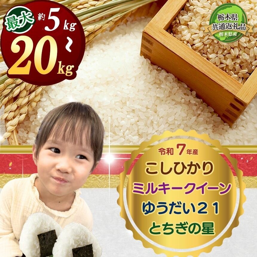 【ふるさと納税】定期便 選べる 令和7年産 米 お米 こめ コメ こしひかり コシヒカリ ミルキークイーン ゆうだい21 とちぎの星 5kg 10kg 20kg | 精米 白米 特A 人気 お買い得 ミルキークイン 送料無料 限定 訳あり 備蓄米 栃木県共通返礼品 2025年産 栃木県産 栃木県 下野市