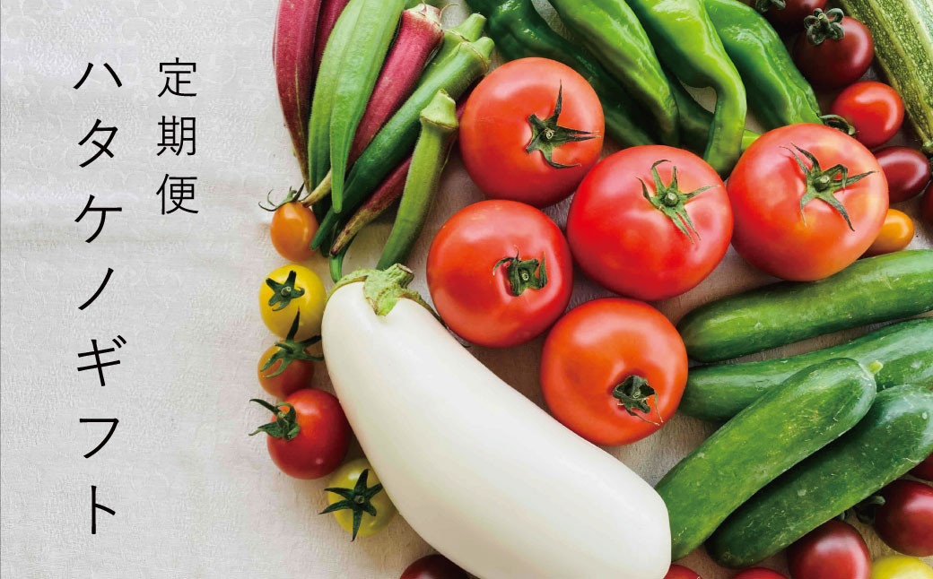 色とりどりな野菜をセレクト。太陽の恵みが詰まってます