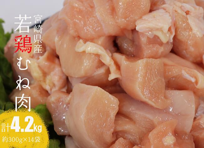【令和7年6月発送】宮崎県産若鶏むね肉4.2kg　鶏肉[E7203r706] 令和7年6月発送