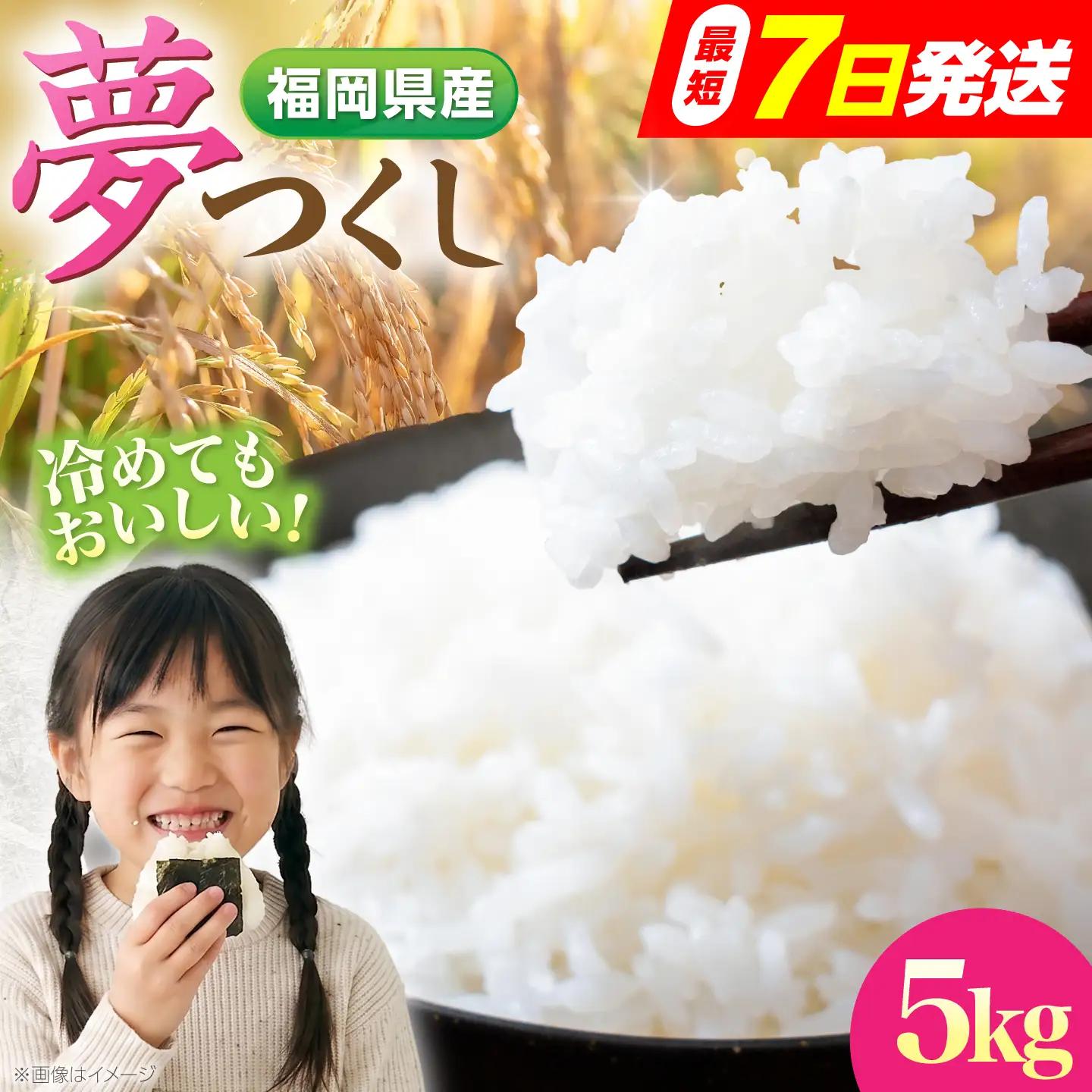 令和7年度産 楠本農園 夢つくし 精米 5kg 《豊前市》【楠本農園(93farm)】 お米 米 白米 ゆめつくし ご飯[VEV001]
