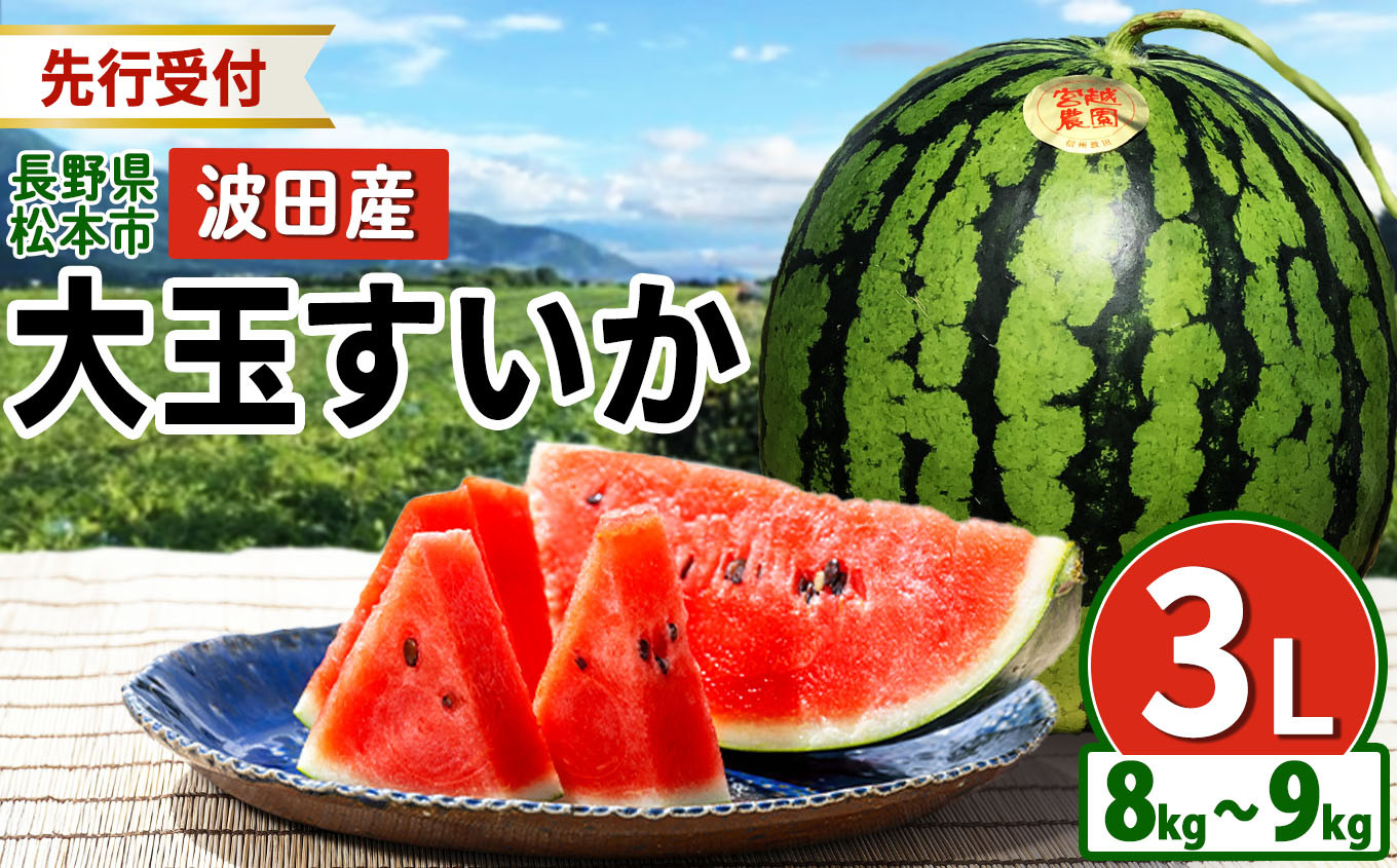 
【先行受付】松本市　波田産　大玉すいか　３L（8kg～9kg)│ 信州 松本市 長野県 西瓜 すいか 果物 大玉 スイカ フルーツ くだもの フルーツ ふるーつ
